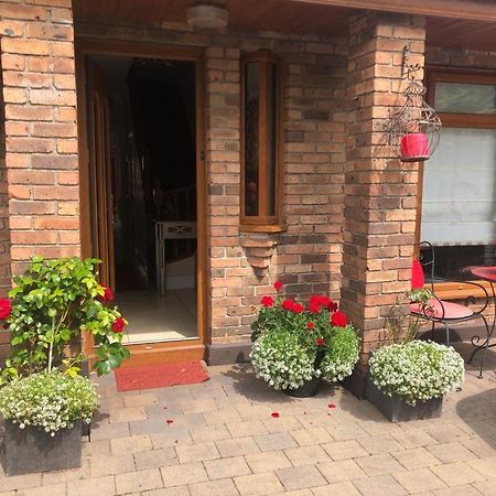 Beechtree House Bed & Breakfast Leixlip Dış mekan fotoğraf